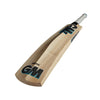 GM DIAMOND 101 GM CRICKET BAT - Monarch Cricket