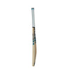 GM DIAMOND 101 GM CRICKET BAT - Monarch Cricket